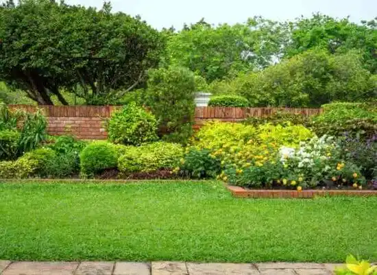 landscaping services Springdale